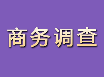 宾县商务调查